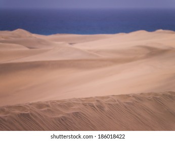 the majestic sand dunes of Maspalomas at Gran Canaria - Shutterstock ID 186018422