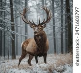 A majestic stag with an impressive rack of antlers