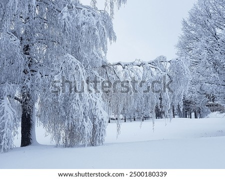 Image, Stock Photo wonderland Peaceful silent