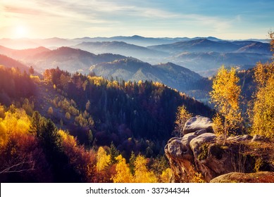 Majestic trees with sunny beams at mountain valley. Dramatic and picturesque morning scene. Red and yellow leaves. Warm toning effect. Carpathians, Sokilsky ridge. Ukraine, Europe. Beauty world. - Shutterstock ID 337344344