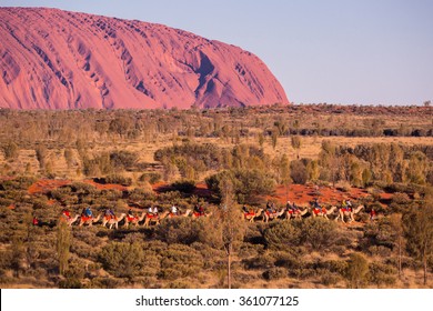 Majestic Uluru And A Camel Tour On A Clear Winter's Evening Sunset In The Northern Territory, Australia