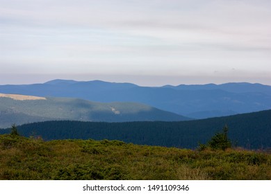 The majestic view of the beautiful mountains. Relaxing travel background. Tourist routes. Carpathians. Ukraine. Europe. - Shutterstock ID 1491109346