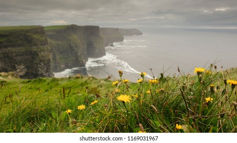 275 Cliffs Of Mother Ireland Images, Stock Photos & Vectors | Shutterstock