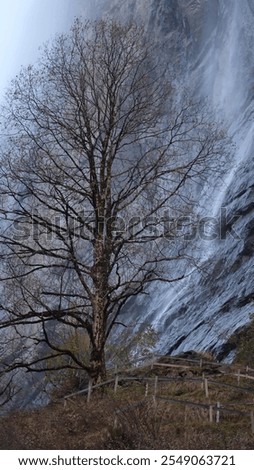 Similar – Image, Stock Photo sky water Colour photo