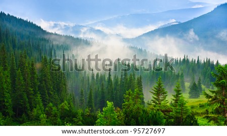 Majestic view on beautiful fog mountains in mist landscape. Dramatic unusual scene. Travel  background. Exploring beauty world. Carpathian mountains. Ukraine. Europe.