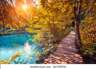 Majestic view on turquoise water and sunny beams in the Plitvice Lakes National Park. Wood glowing by sunlight. Croatia. Europe. Dramatic unusual scene. Beauty world. Retro and vintage toning effect.