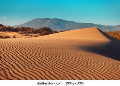 砂山 の画像 写真素材 ベクター画像 Shutterstock