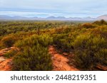 Majestic vista of inside Wilpena pound rock formation in Flinders Ranges of South Australia.