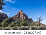 The majestic Watchman formation at Zion National Park.