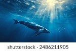 A majestic whale swims peacefully underwater, basking in the dappled sunlight filtering through the ocean