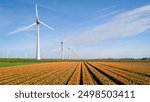 Majestic windmills tower over vibrant fields of tulips, showcasing a stunning blend of nature and renewable energy under a vast blue sky. Windmill Park in the Netherlands providing green energy