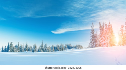 Majestic winter landscape glowing by sunlight in the morning. Dramatic wintry scene. Location Carpathian, Ukraine, Europe. Beauty world. Retro and vintage style, soft filter. Instagram toning effect. - Powered by Shutterstock