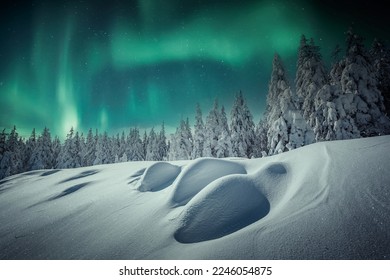 Majestic winter landscape with Northern lights (Aurora Borealis) frosty pine tree under sunlight at sunset. Christmas holiday concept, unusual wonderful landscape. fantastic wintry background.  - Powered by Shutterstock