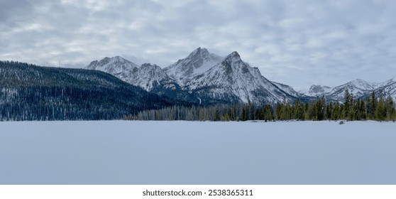 Majestic winter view of Idaho’s Sawtooth Mountains, with a snow-covered valley and dense pine forests beneath a cloudy sky. Perfect for winter, wilderness, and nature-themed projects. - Powered by Shutterstock