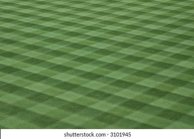 Major League Baseball Grass Turf