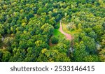 The Major Oak, a large English oak near the village of Edwinstowe in the midst of Sherwood Forest, Nottinghamshire, England, UK