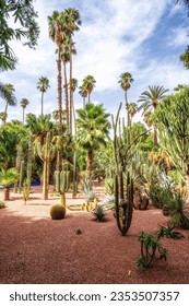Majorelle Garden in Marrakech. An oasis in the middle of a bustling city. Marrakech, Morocco