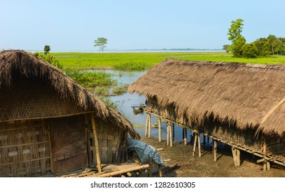 Majuli, Assam, India. Traditional bamboo long houses of Mising tribe (Mishing) on stilts facing paddy fields and Brahmaputra rive on horizon under blue sky in summer, Majuli, Assam, India.