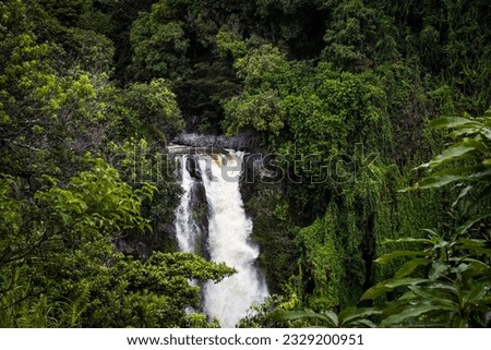 Makahiku falls surrounded by tropical vegetation
