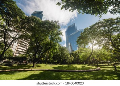 Makati, Metro Manila, Philippines - Oct 2020: Early Morning At Ayala Triangle Gardens, A Park At The Heart Of Makati CBD.