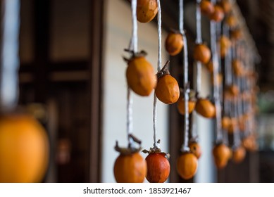 Make Dried Persimmons By Hanging Astringent Persimmons On The Eaves