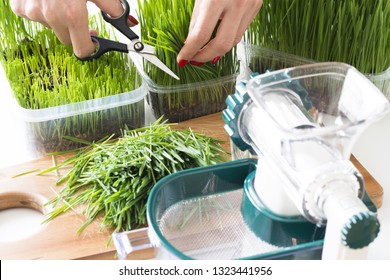 Make Wheatgrass Juice From Raw Plant At Home, Detox For Healthy Life
