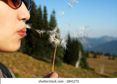 Make a wish by blowing on dandelion
