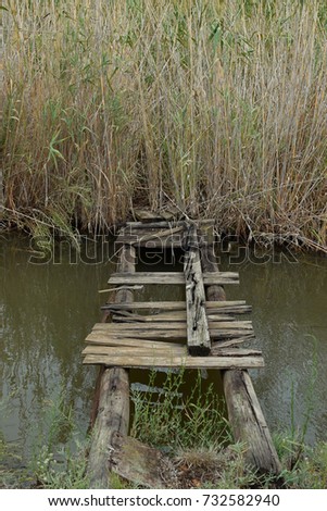 Makeshift rickety wooden bridge over small creek leading to impenetrable swamp path with overgrown vegetation.