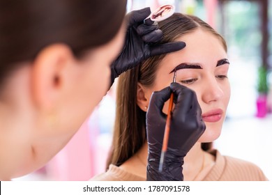 Makeup Artist Applies Paint Henna On Eyebrows In A Beauty Salon.