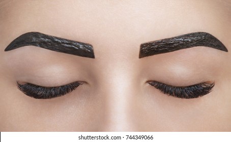 Makeup Artist Applies Paint Henna On Eyebrows In A Beauty Salon. Professional Care For Face.