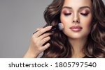 Makeup artist applies   applies powder and blush  . Beautiful woman face. Hand of make-up master puts blush on cheeks  beauty  model girl . Make up in process