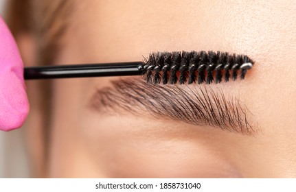 Makeup artist combs eyebrows with a brush after dyeing in a beauty salon. Professional makeup and cosmetology skin care.