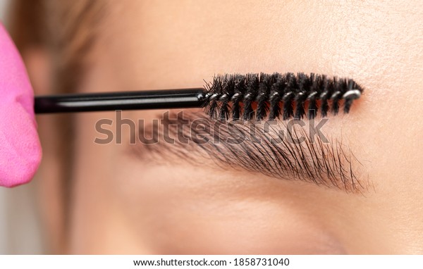 Makeup\
artist combs eyebrows with a brush after dyeing in a beauty salon.\
Professional makeup and cosmetology skin\
care.