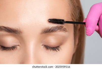 Makeup artist combs  and plucks eyebrows after dyeing in a beauty salon.Professional makeup and cosmetology skin care. - Shutterstock ID 2025939116