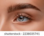 The make-up artist does Long-lasting styling of the eyebrows  and will color the eyebrows. Eyebrow lamination. Professional make-up and face care.