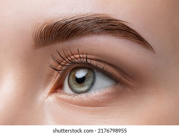 The make-up artist does Long-lasting styling of the eyebrows of the eyebrows and will color the eyebrows. Eyebrow lamination. Professional make-up and face care. - Shutterstock ID 2176798955