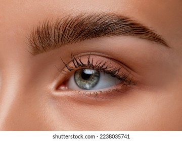 The make-up artist does Long-lasting styling of the eyebrows  and will color the eyebrows. Eyebrow lamination. Professional make-up and face care. - Shutterstock ID 2238035741