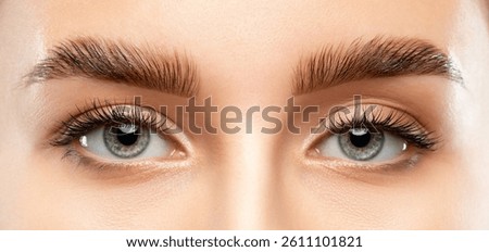 The make-up artist does Long-lasting styling of the eyebrows of the eyebrows and will color the eyebrows. Eyebrow lamination. Professional make-up and face care.