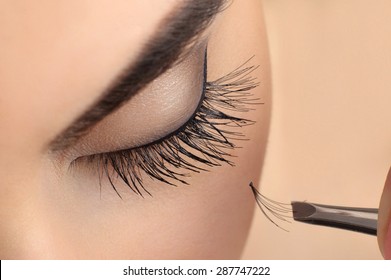 Makeup close-up. Eyebrow makeup. Eyelash extension.
