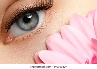 Makeup & Cosmetics. Eyelash extensions. Beauty makeup. Fashion makeup. Beautiful woman eye with fresh flower, spa and beauty background. Fresh healthy skin, very long eyelashes