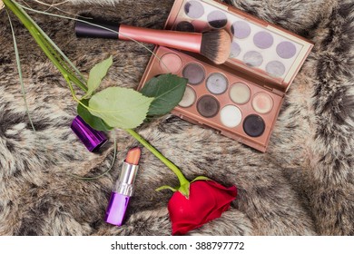 Makeup in fur 
