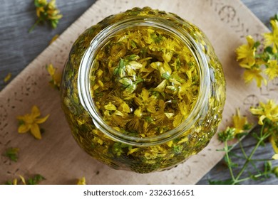 Making herbal oil from fresh St. John's wort flowers in a glass jar, top view