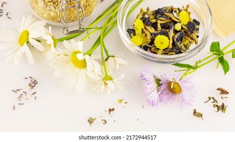 Making Homemade Herbal Tea From Wild Plants And Flowers. Home Herbal Apothecary Concept. Eco Friendly Banner With Natural Flowers And Herbs And Tea Bags On A White Background. Soft Focus Style