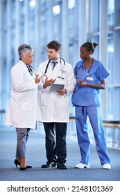 Making An Informed Decision. A Medical Team Standing In The Hospital Corridor.