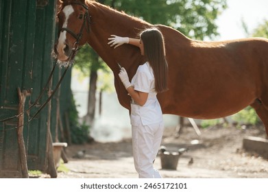 Making an injection by syringe. Female vet is with horse outdoors at the farm at daytime. - Powered by Shutterstock