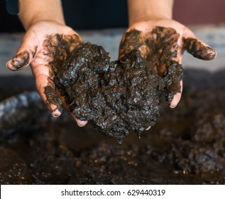 Making Mud Pies At The Mudfest 
