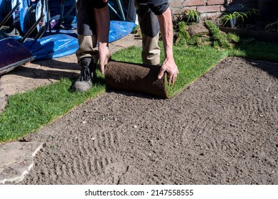 Making Of Natural Green Lawn In Garden With Rolls Of Green Grass, Garden Renovation Works In Spring