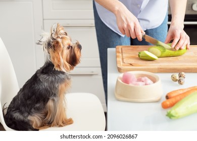 Making Natural Pet Food At Home. A Woman Prepares Organic Food For Her Dog.