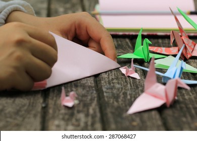 Making A Origami Bird