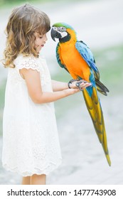 Making photo of exotic animals. Little girl with macaw parrot in the zoo